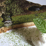 cafemenu: image 11 of 12 ◇ GreenTea Cake